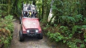 Off Road New Zealanind 4x4 Monster drive car going down a steep hill